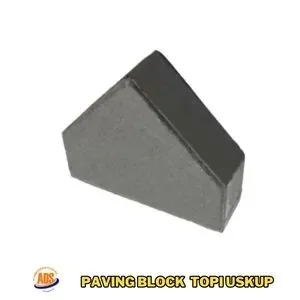 Harga-Paving-Block-Topi-Uskup-Per-m²